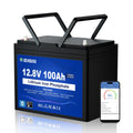 DC HOUSE 12V 100Ah LiFePO4 battery
