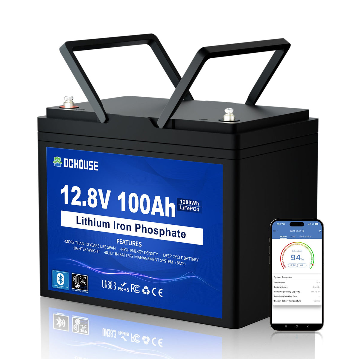 DC HOUSE 12V 100Ah LiFePO4 battery