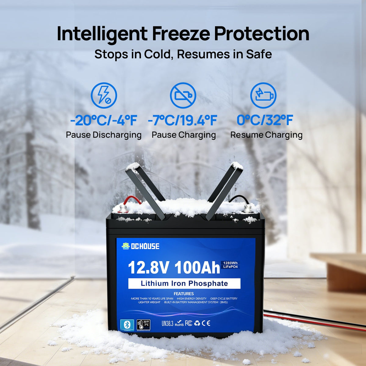 12V 100Ah LiFePO4 battery detail